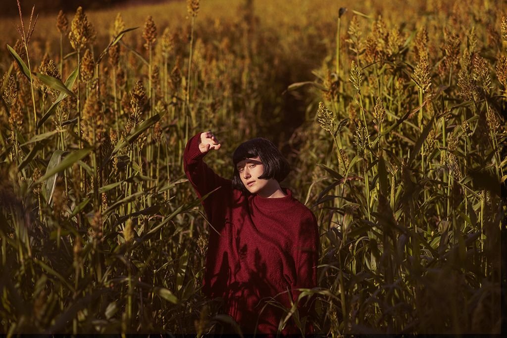 Iulia_field_1.jpg